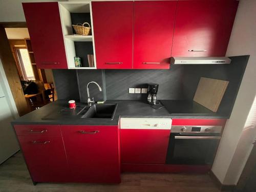 蒙查往Superbe Appartement à Montchavin的一间带红色橱柜和水槽的厨房