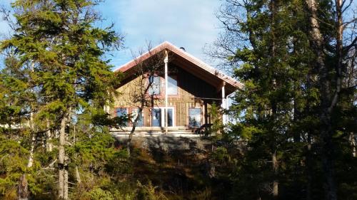 奥勒Mountain Holiday Homes - Ottsjö, Trillevallen -Sweden的树上山顶的房子