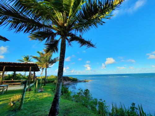 库穆鲁沙蒂巴Pousada Azul com vistas maravilhosas的海前的棕榈树