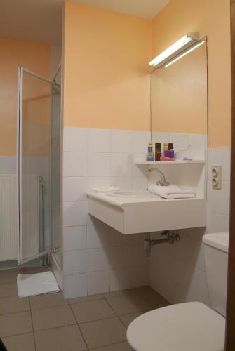 布列登Park Merlo的一间带水槽、卫生间和镜子的浴室