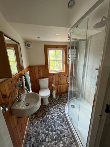 阿罗柴尔Viking Cottage的带淋浴、卫生间和盥洗盆的浴室