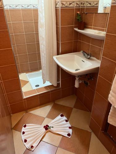 阿加迪尔阿弗德公寓酒店的一间带水槽和镜子的小浴室