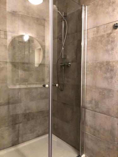 希奥拉肯·佩里戈尔四叶的三叶草酒店的浴室里设有玻璃门淋浴