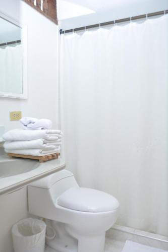 巴兰基亚Hotel Casa Ballesteros的白色的浴室设有卫生间和淋浴。