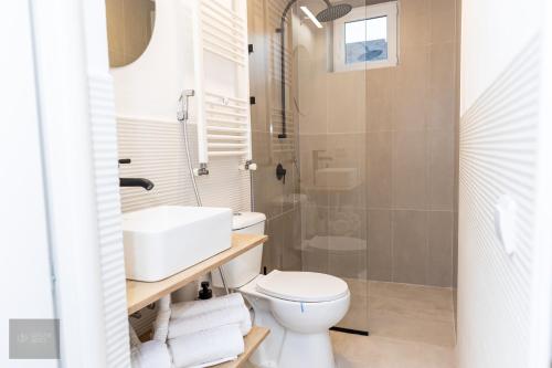 札勒乌Urban Nest的浴室配有卫生间、盥洗盆和淋浴。