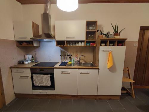皮夫卡Family Hostel Pivka的一间带水槽和炉灶的小厨房