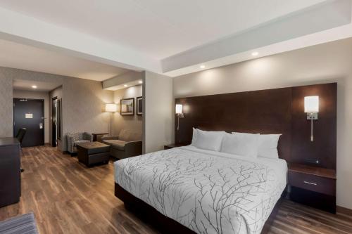 蒂明斯Best Western Premier Northwood Hotel的酒店客房设有床和客厅。