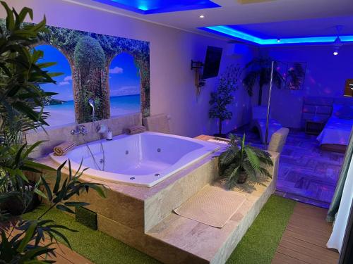 苏莎亚Sosua Inn Hotel的植物间的大浴缸