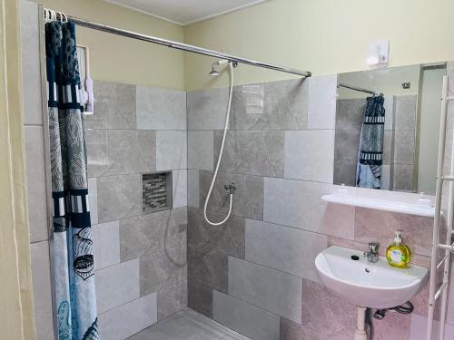 威廉斯塔德Wondershell Curaçao的一间带水槽和淋浴的浴室