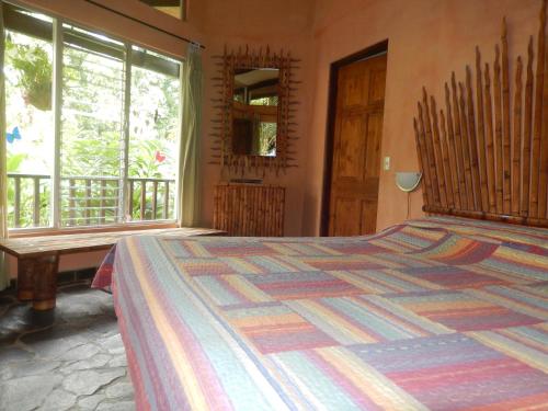 萨拉皮基蝎尾岛住宿加早餐旅馆的一间卧室设有一张床和一个大窗户