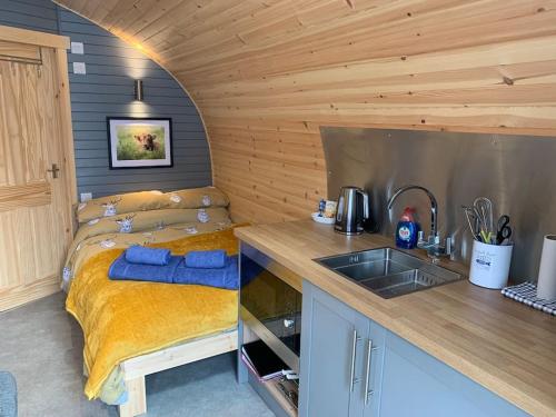 奥尼赫The Boathouse pod的一个带水槽的厨房和一张位于客房内的床