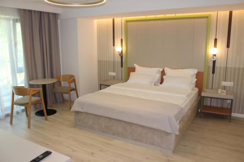 泰基尔吉奥尔阿尼娜酒店的酒店客房带一张床、一张桌子和椅子