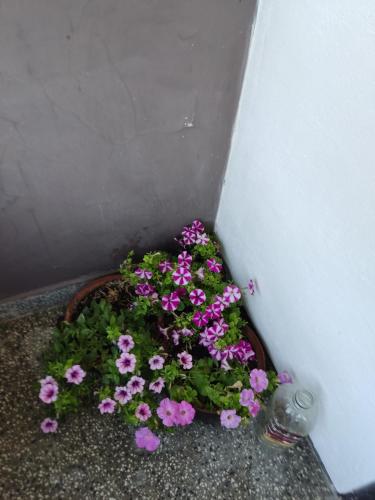 贝里奥苏姆къща за гости Хайк的围墙旁的一篮鲜花
