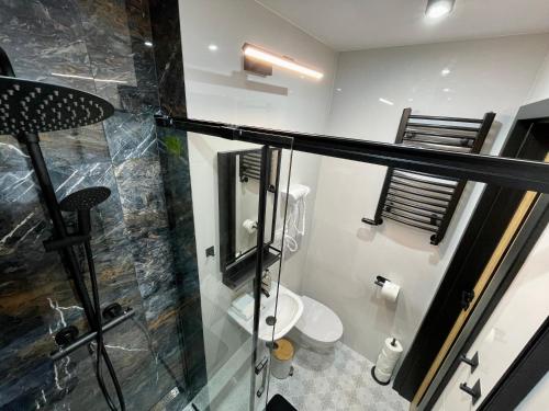 拉多姆Przytulne mieszkanie w centrum miasta的带淋浴和卫生间的浴室。
