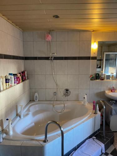 MogendorfCocos Tiberiu的浴室设有浴缸和淋浴。