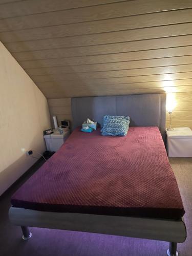 MogendorfCocos Tiberiu的一间卧室配有一张带红色毯子的大床
