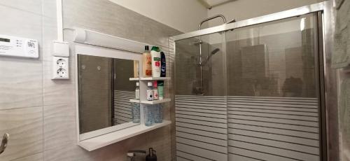 绍尔戈陶尔扬Karancs Apartman Salgótarján的带淋浴、盥洗盆和镜子的浴室