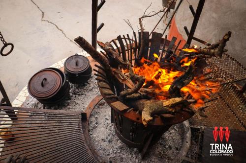 Río ColoradoBodega Trina Suites的烤架上的火,靠近一些原木