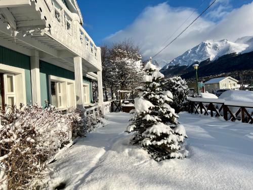 乌斯怀亚Hotel Campanilla的房子前面的雪覆盖的树