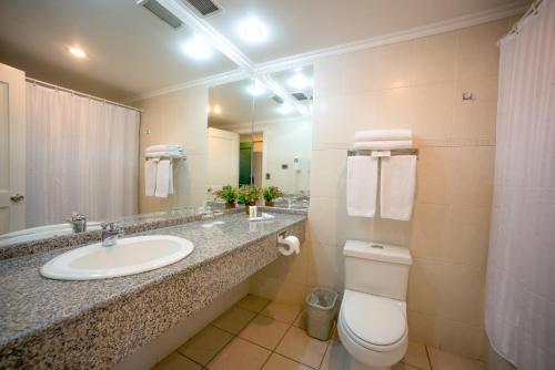 康塞普西翁地亚哥德阿尔马格罗康塞普西翁酒店的一间带水槽、卫生间和镜子的浴室