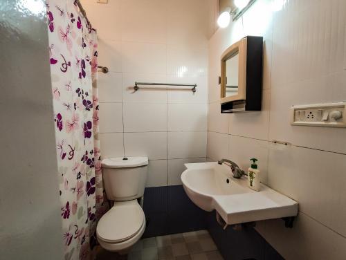 蓬蒂切里Mel Ville的一间带卫生间和水槽的浴室