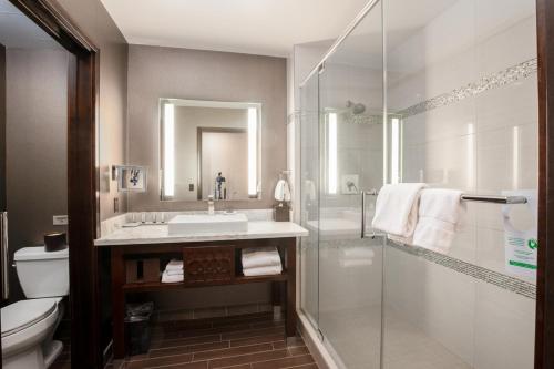 阿尔派恩Viejas Casino & Willows Hotel的一间带水槽和淋浴的浴室