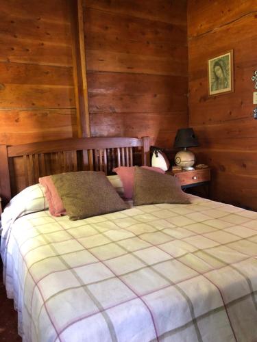JuayúaPROVENZA en Los Naranjos的卧室配有一张床铺,位于带木墙的房间内
