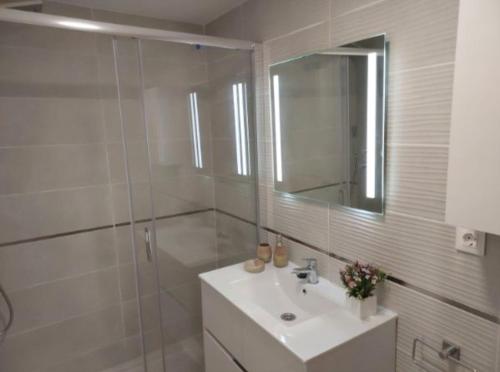 博尔瑟拉尔Mirador al Mar -1ª línea playa- Vista frontal-Prox Magic World的一间带水槽、淋浴和镜子的浴室