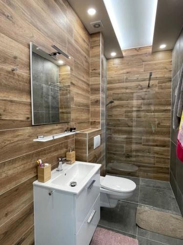 阿贝尔塔米Apartmán Plešivec u sjezdovky的浴室配有白色水槽和卫生间。