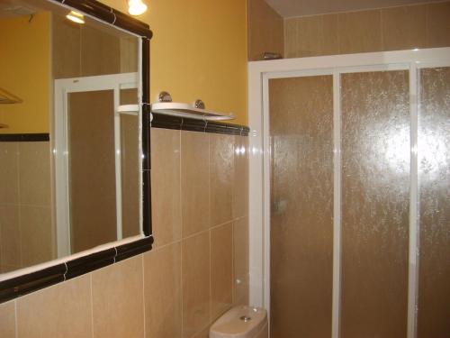 GalendeApartamentos Sanabria的带淋浴、卫生间和镜子的浴室