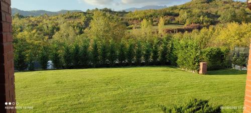 克利默内什蒂View Cozia的绿地苍翠的院子,有草地和树木