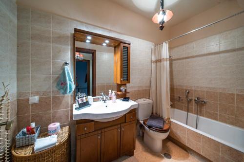 阿拉霍瓦Livadi cozy villa的一间带水槽、卫生间和淋浴的浴室