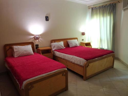 赫尔格达金玫瑰酒店的一间卧室设有两张带红色床单的床和窗户。