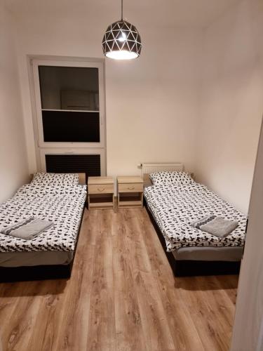 库特诺Apartament Oporowska 22A的客房设有两张床和窗户。