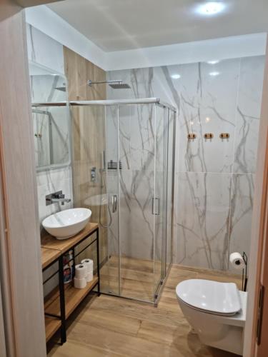 库特诺Apartament Oporowska 22A的带淋浴、卫生间和盥洗盆的浴室