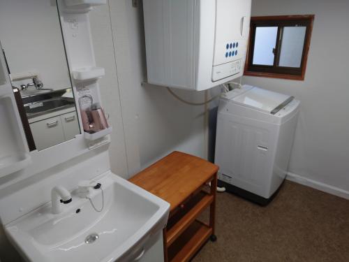 白滨Albany inn Shirahama アルバニーイン白浜的一间带水槽、洗衣机和烘干机的浴室