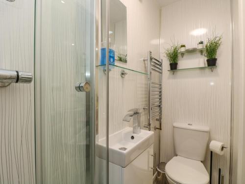 坎伯恩The Snug的浴室配有卫生间、盥洗盆和淋浴。