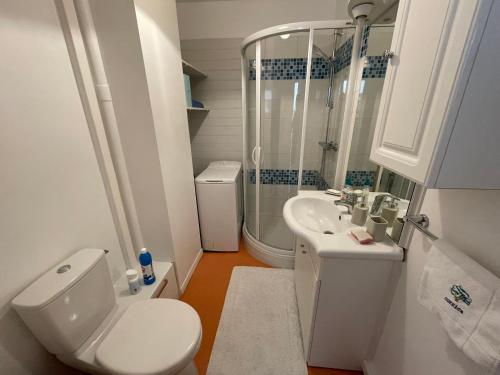 色当Appartement chaleureux , cosy, bien équipé et bien placé的浴室配有卫生间、盥洗盆和淋浴。