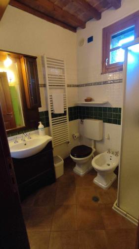蒙特普齐亚诺Borgo 7 TigliAppartamento a Montepulciano n4的浴室配有盥洗盆、卫生间和盥洗盆。