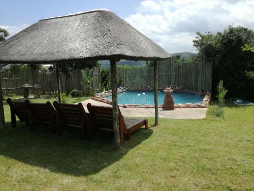 KomgaNgwenkala Game Lodge and Safaris的一个带游泳池的庭院里的遮阳伞和长椅
