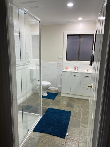 JerilderieJerilderie BNB - Pets Welcome - House的一间带玻璃淋浴和卫生间的浴室