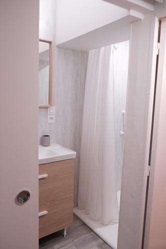 雷克图尔Gîte le petit écolier的一间带白色淋浴帘的浴室