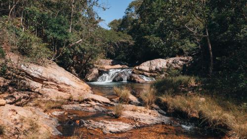 戈亚斯州上帕莱索Terra Booma的森林中间有瀑布的小溪