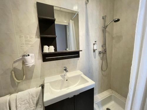 蒙彼利埃德拉柯美迪酒店的一间带水槽和淋浴的浴室