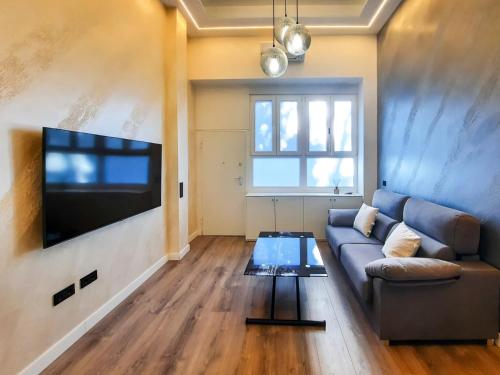 马德里Tofi 2的带沙发和平面电视的客厅