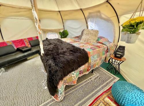RogersvilleThe Aries-a stargazing, luxury glamping tent的帐篷内的一个床位房间