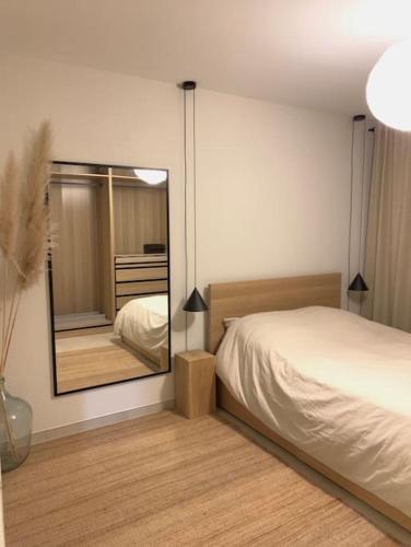斯特拉斯堡Appartement Oslo - Strasbourg的一间卧室配有一张床和一面大镜子