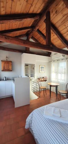 博洛尼亚Altana Sul Tetto的一间设有床铺、厨房和桌子的房间