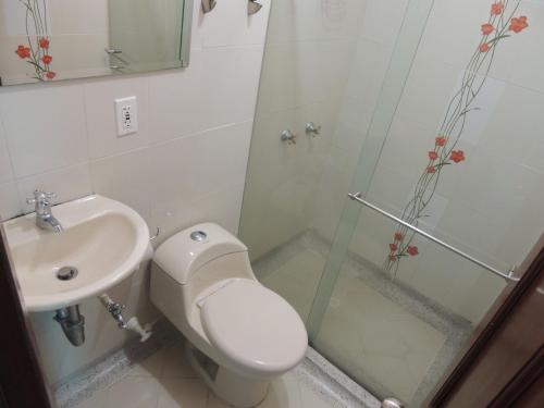 OcañaHotel Real的带淋浴、卫生间和盥洗盆的浴室