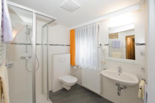 萨尔巴赫Pension Riedlsperger的浴室配有卫生间、盥洗盆和淋浴。
